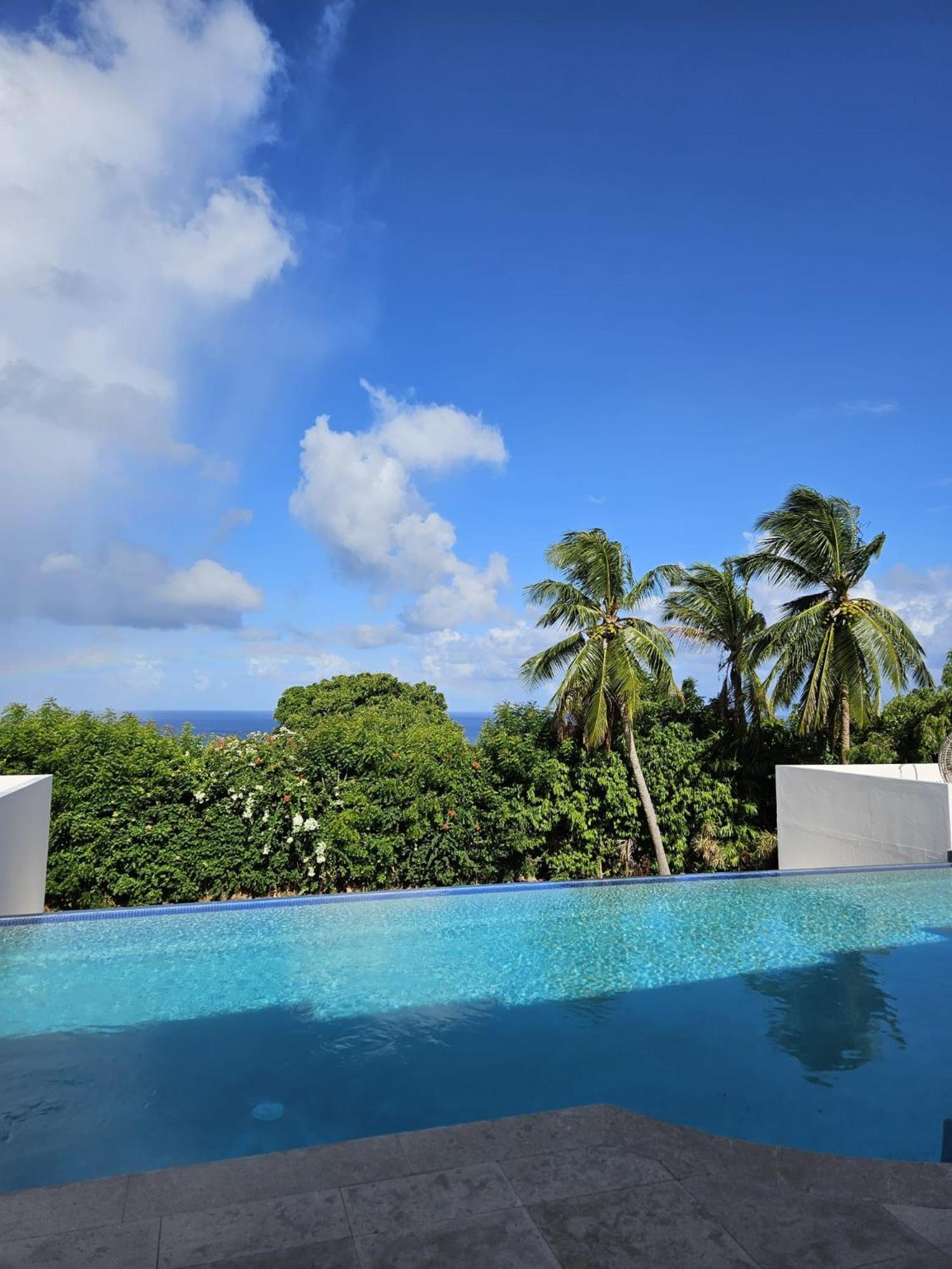 Purple Haze - Infinity Pool Holiday Home Minutes From The Island'S Best Beaches Сент-Джеймс Екстер'єр фото